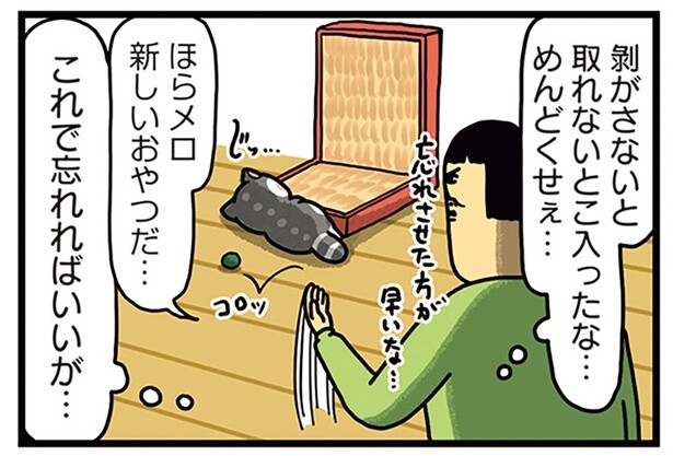 手の届かないおやつにご執心！ 飼い主の誤魔化しも無駄なようで