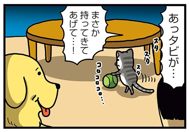 ライバル同士の犬と猫。意地悪されたらやり返す間柄の2匹