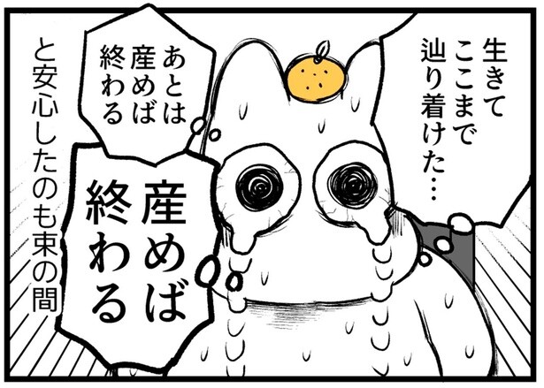「あとは産めば終わる」と安心したのも束の間。陣痛室激混みで!?