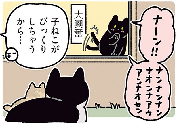 黒猫ろんが大興奮！大好きなノラネコさんが赤ちゃんを連れてきた日