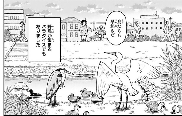 早起きで新たな発見!? 近所の川辺で出会った「ちょっと気になる存在」