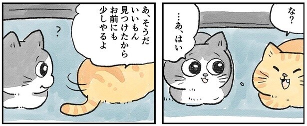 「いいもん見つけたから」親切な先輩猫のお裾分けがありがた迷惑！