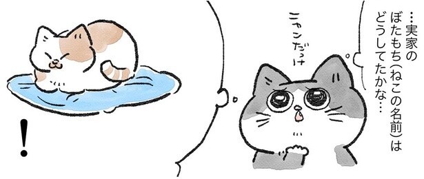 どう座るのが正解？ 「ねこおじ」が実家の猫の座り方をマネしてみたら