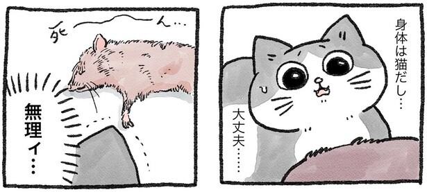 身体は猫でも中身はおじさん。空腹でもさすがにネズミを食べるのは無理ィ！