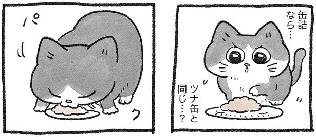 社長のおかげで助かった！ ネズミを食べずに済んだけど、猫缶は食べられる？
