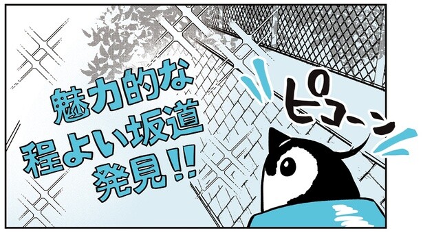 「魅力的な程よい坂道発見！」好奇心で登ったペンギンの末路は