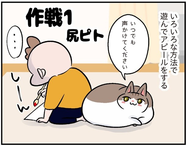 遊んでアピール大作戦！愛する娘に遊んでもらえないモンペ猫