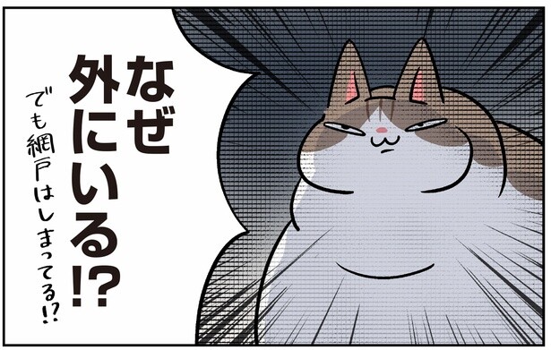 網戸は閉まっているはずなのに。いつの間にかドヤ顔で外にいる飼い猫