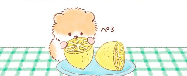 食卓においしそうなレモン。食いしん坊のハムスターは思わずペロリ！