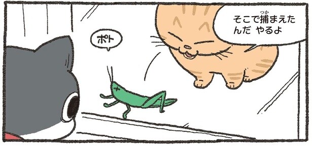 世話になった先輩猫と再会。窓越しに「やるよ」と差し出された手土産にギョッ！