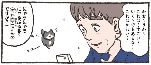 愛猫への後ろめたさ？ SNSで猫の投稿にときめいていた社長の言い訳
