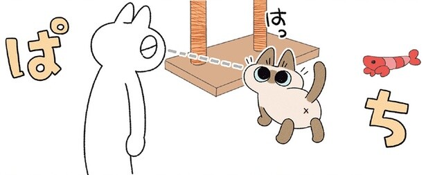 飼い主を見つけると横着する！ 猫がキャットタワーに登ろうとしている姿を目撃