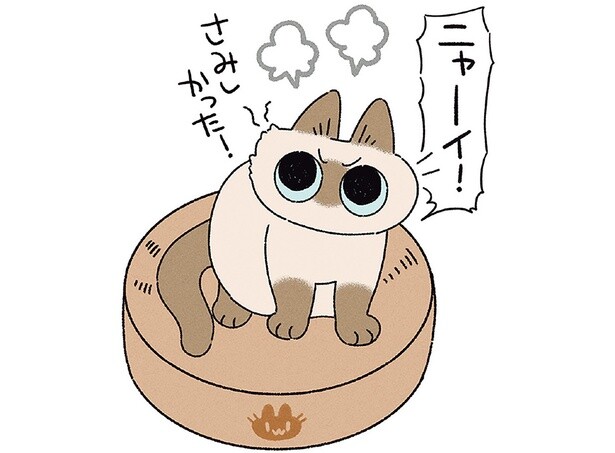 「さみしかった！」愛猫が寝ている間に買い物を済ませて帰宅すると