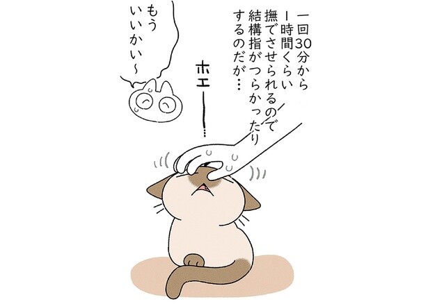 満足するまで頭を撫で続ける！ 手がしんどくなっても猫の満足そうな顔には勝てません