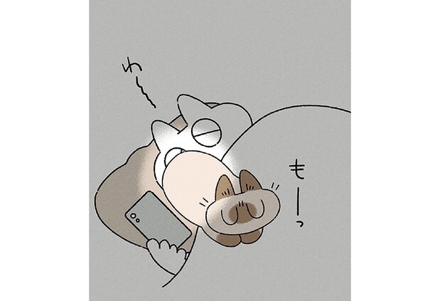 これぞハッピータイム。寝る前のスマホ操作を強制的にシャットアウトする猫