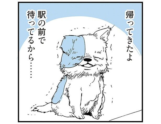 突然のニューフェイス！ 老犬を失った家族がすぐに子犬を飼った理由は