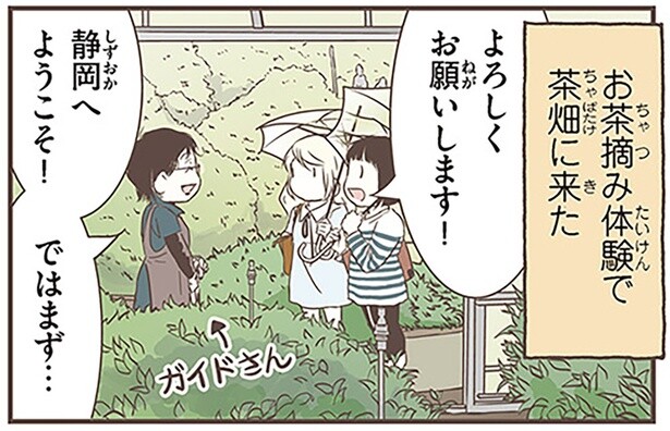 お茶摘み体験で茶畑へ！スウェーデン人漫画家が一番びっくりしたこと
