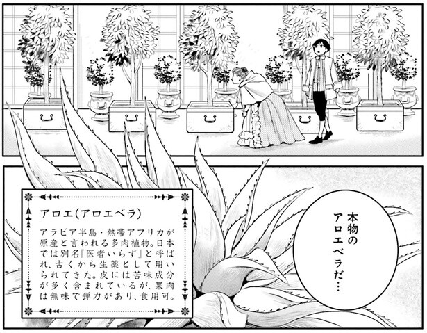 貴重な熱帯園に入る許可が出た！ 必要な材料を揃えるために見に行こう／現代OLが18世紀フランスにタイムスリップしたら4（1）