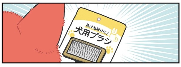 キツネ用がなかったんだもん！ 犬用ブラシに不満そうなかみさまキツネ