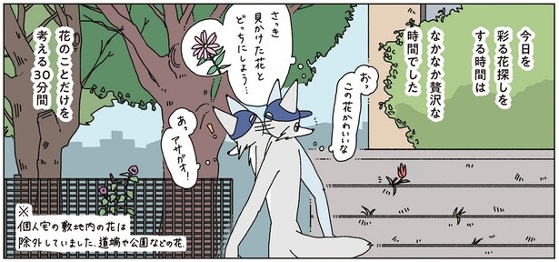 帰りに花の写真を1枚撮るルール。早朝に散歩に行く話