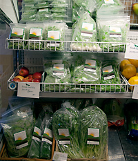 マーケットに並んでいる自然農法野菜