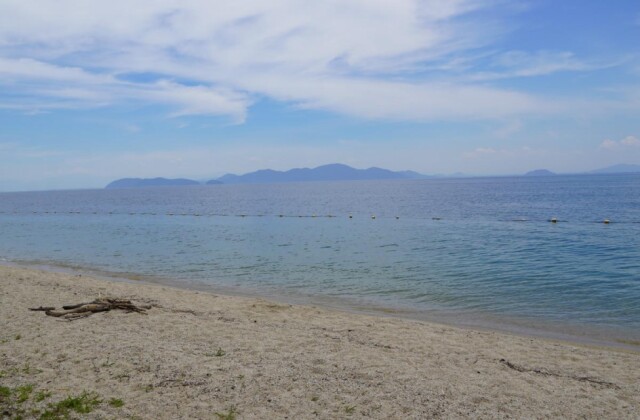 琵琶湖の水泳場4カ所水質は全て「適」　近江舞子、松の浦など