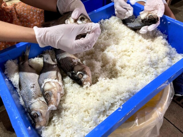琵琶湖の島でふなずし作り体験クルーズ　湖の有人島で滋賀の伝統料理を