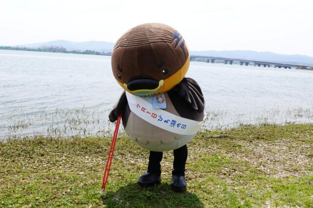 野洲のおっさんカイツブリ、15周目の琵琶湖一周200キロごみ拾い行脚へ