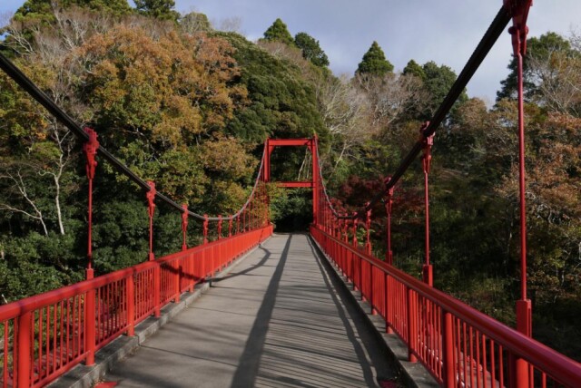 千葉・泉自然公園でサクラとドングリの植樹体験イベント　ワークショップも