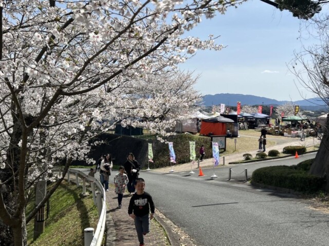 桜の名所・嘉麻の公園で「パークフェスティバル」　ハンドメード作家集う