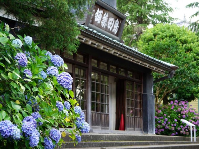 府中市郷土の森博物館で「あじさいまつり」　多彩な催しも