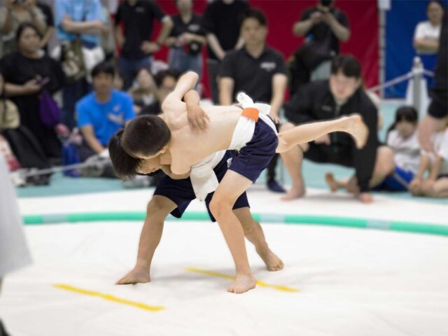 調布で「わんぱく相撲」東京都大会　全国大会目指し82チーム出場
