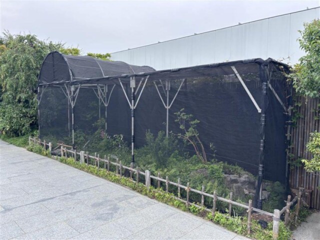 JR博多シティ屋上でホタル観賞　ビオトープにホタル100匹