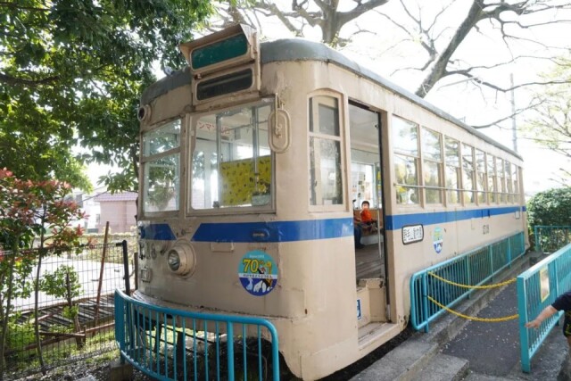 野毛山動物園、連休は開園延長　市電は老朽化で利用中止