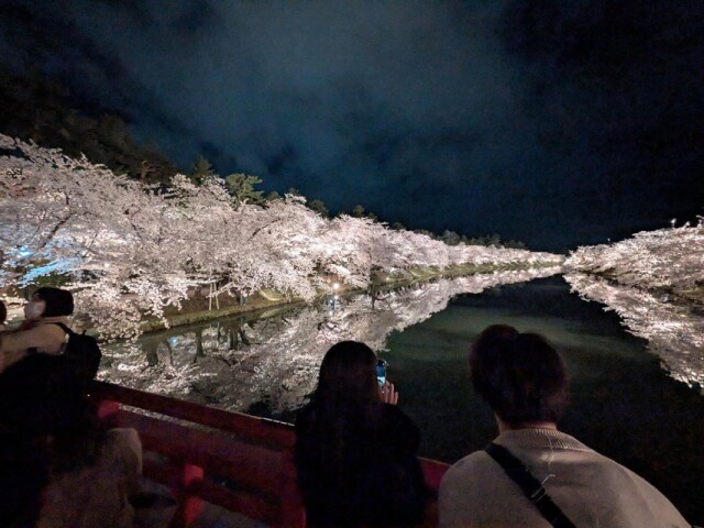 弘前公園で「夜桜」見頃　「鏡のように映る」ライトアップ