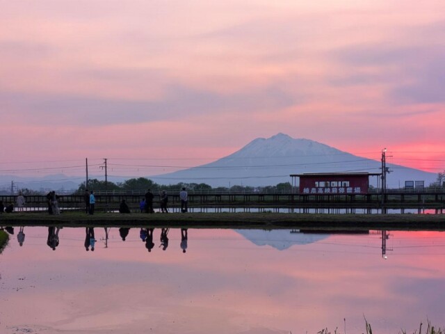 青森の水田に鏡のように映る「津軽富士」　夕景と電車の共演も