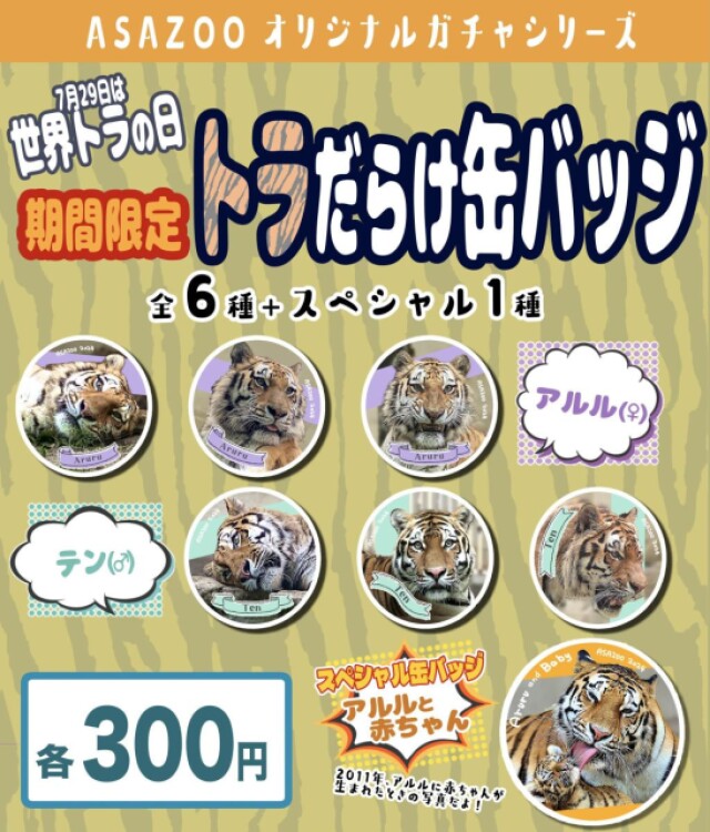 広島の動物園が「トラだらけ缶バッジ」　「世界トラの日」に合わせて企画