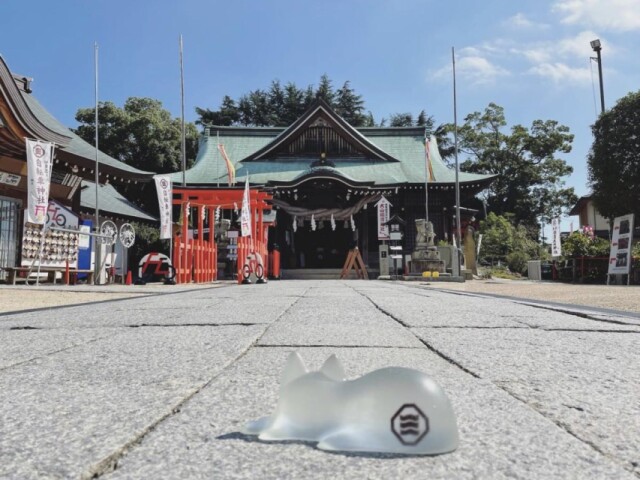 広島・しまなみ海道の神社で「にゃんこ祭」 飼い猫の健康祈願