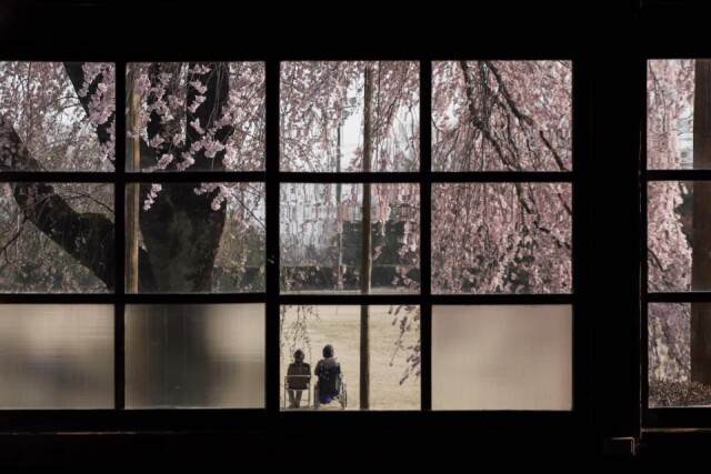 飯田・杵原学校で「桜まつり」　初めて夜間も木造校舎を開放へ