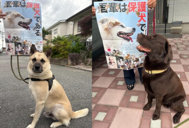 実録映画「吾輩は保護犬である」　飯田で上映会、地元有志が企画