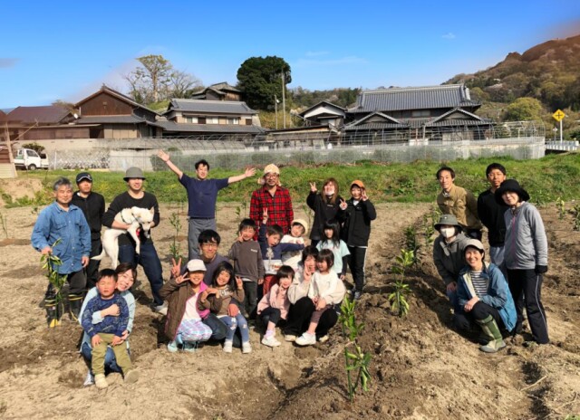 今治・大西町のミカン畑で苗木の定植体験　交流拠点「柑きつ亭」の構想も