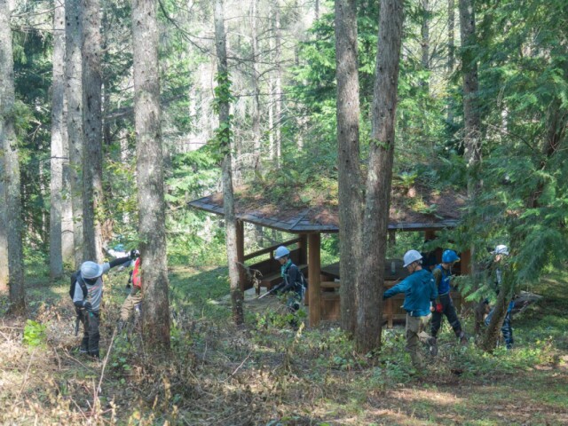 辰野の森で整備活動イベント　「森林の里親」協定を結ぶ町内事業者や地域が協力