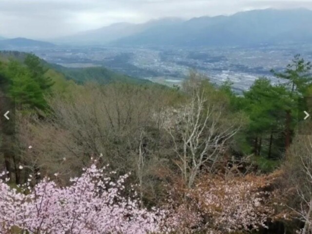 箕輪町の景勝地・萱野高原で「山開き」イベント　シイタケ菌打ち体験も