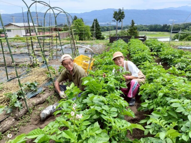 箕輪町の農園「ゆかいな野菜村」でカフェ　テラスから園内の景色楽しむ