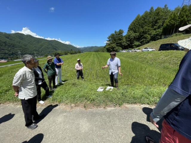 伊那・長谷で「田んぼの植物・生き物観察会」　信州大教授陣が講師に
