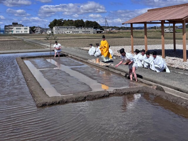伊勢神宮の水田に種をまく「神田下種祭」　一年の耕作始め