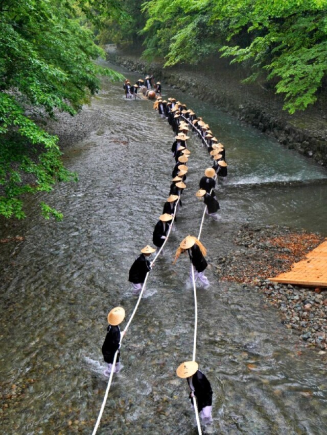遷宮のための御神木、長野と岐阜からはるばる伊勢神宮に到着　川曳と陸曳で