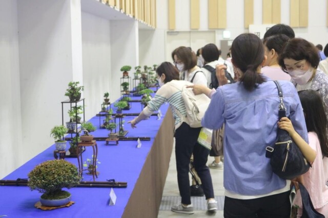 キラメッセぬまづで市内最大の園芸市「みどりまつり」開催へ　母の日企画も