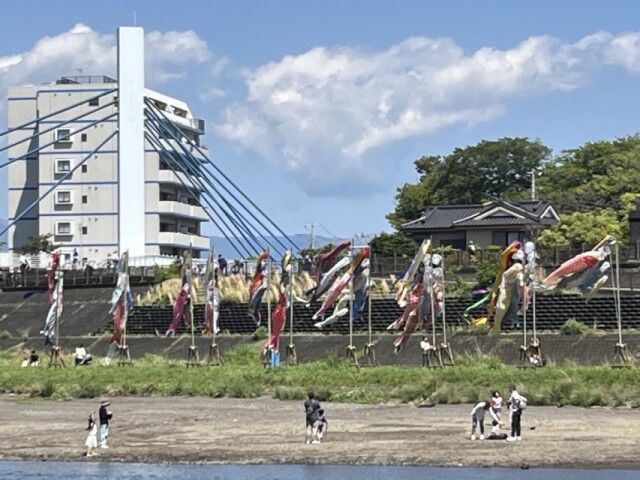 沼津でこいのぼりフェスティバル　アジの干物模した「ひものぼり」も