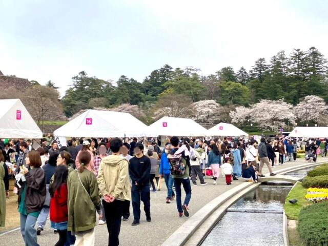 金沢でクラフトマーケット「春ららら市」　桜開花でにぎわう